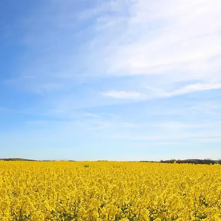 F-1016 Haus Maigloeckchen Doppelzimmer 03 Terrasse, Fruehstueck *